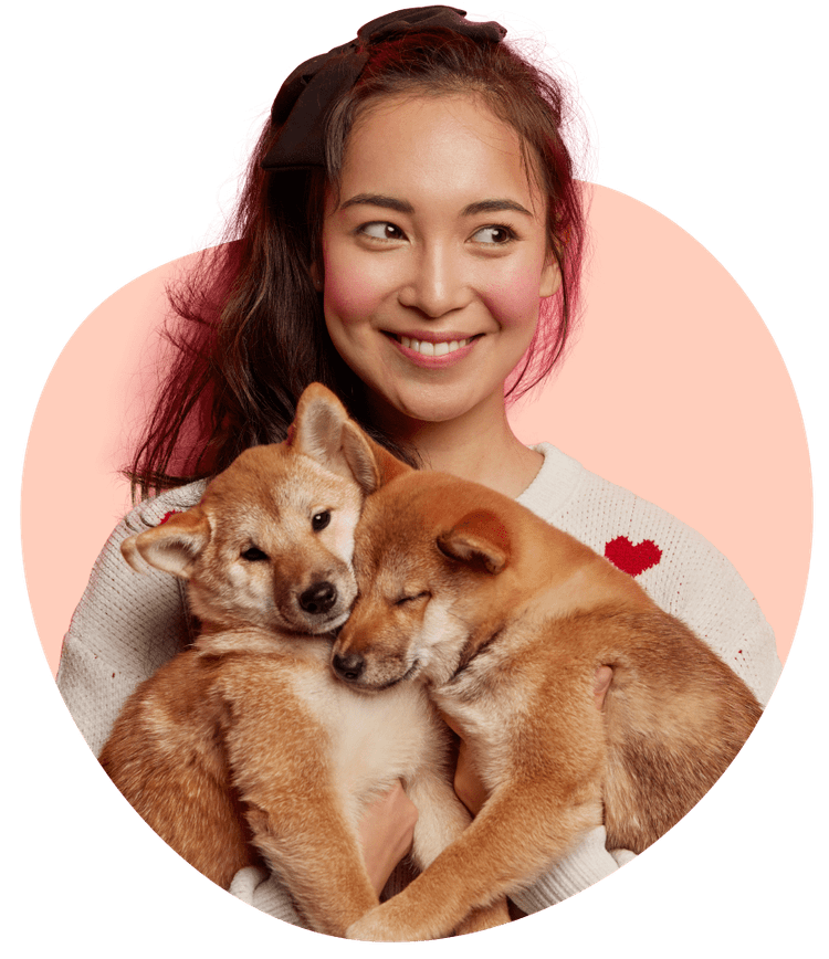 imagem com filhote de cachorro, gato e coelho