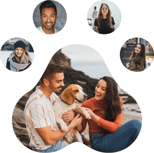 imagem com um gato, um cachorro de porte pequeno e um de porte médio, ambos em pé com a pata erguida, como cumprimentando alguém ou pedindo algo